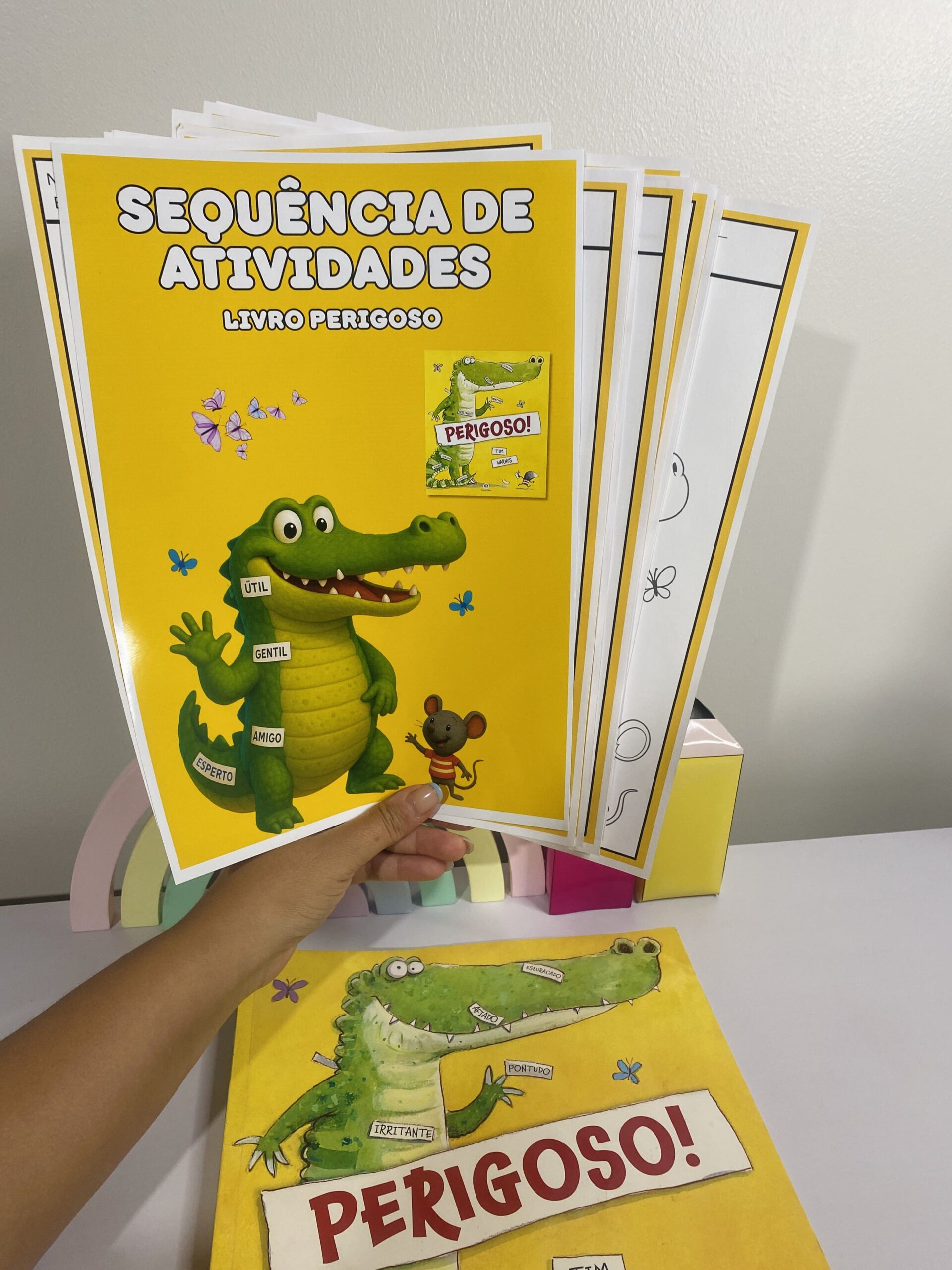 sequencia de atividades - livro perigoso (3)